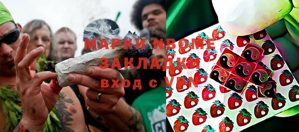 шишки Балабаново