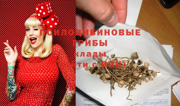 шишки Балабаново
