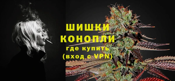 шишки Балабаново