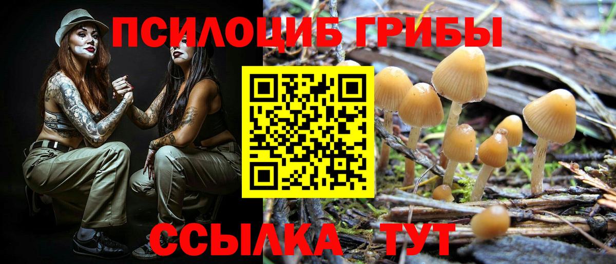 Псилоцибиновые грибы мицелий Белогорск
