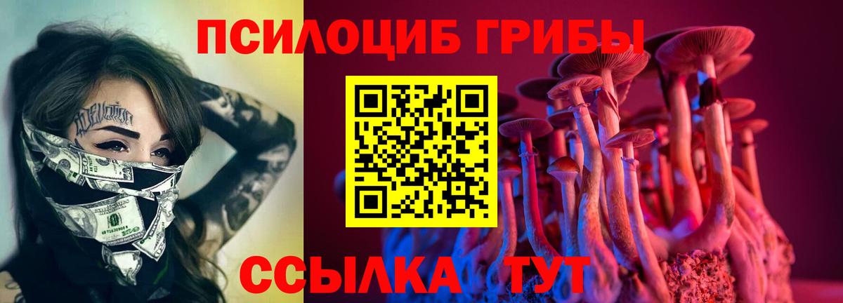 Галлюциногенные грибы Cubensis  Вход с VPN  Белогорск  Псилоцибиновые грибы MAGIC MUSHROOMS 